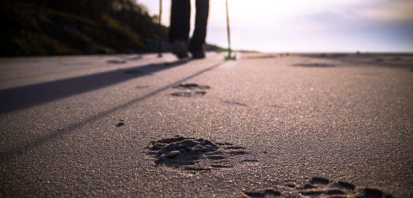 Nordic-walking