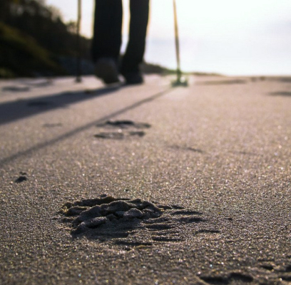 nordic walking